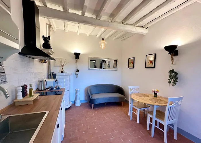 Podere di Montecchio - Colleramole
